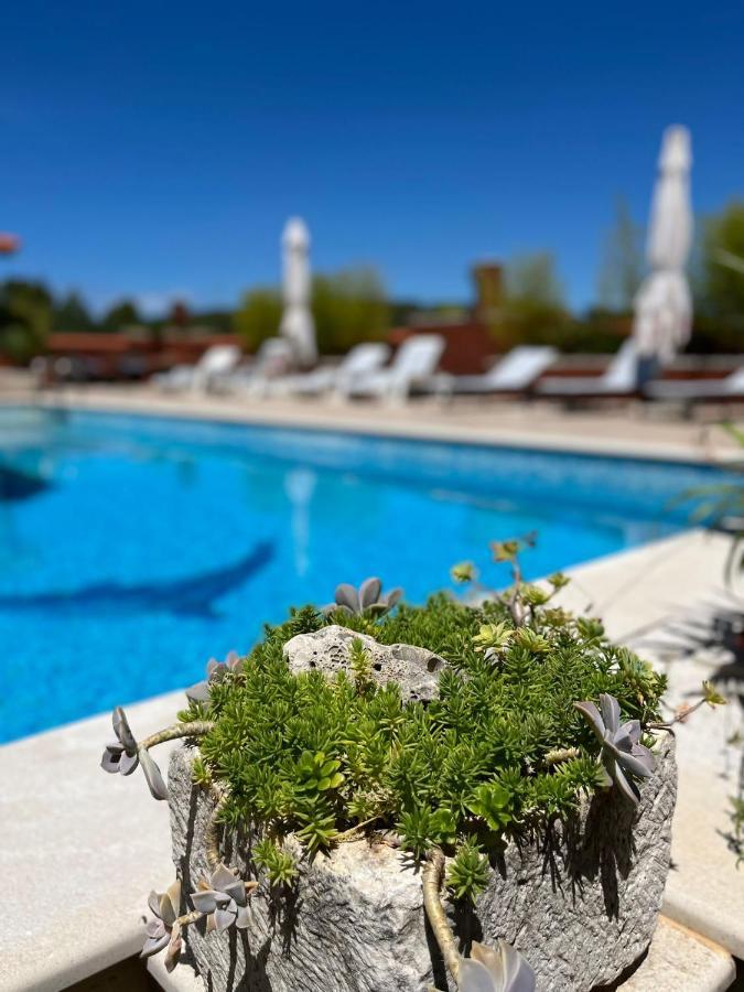 With Swimming Pool Jelsa (Hvar)