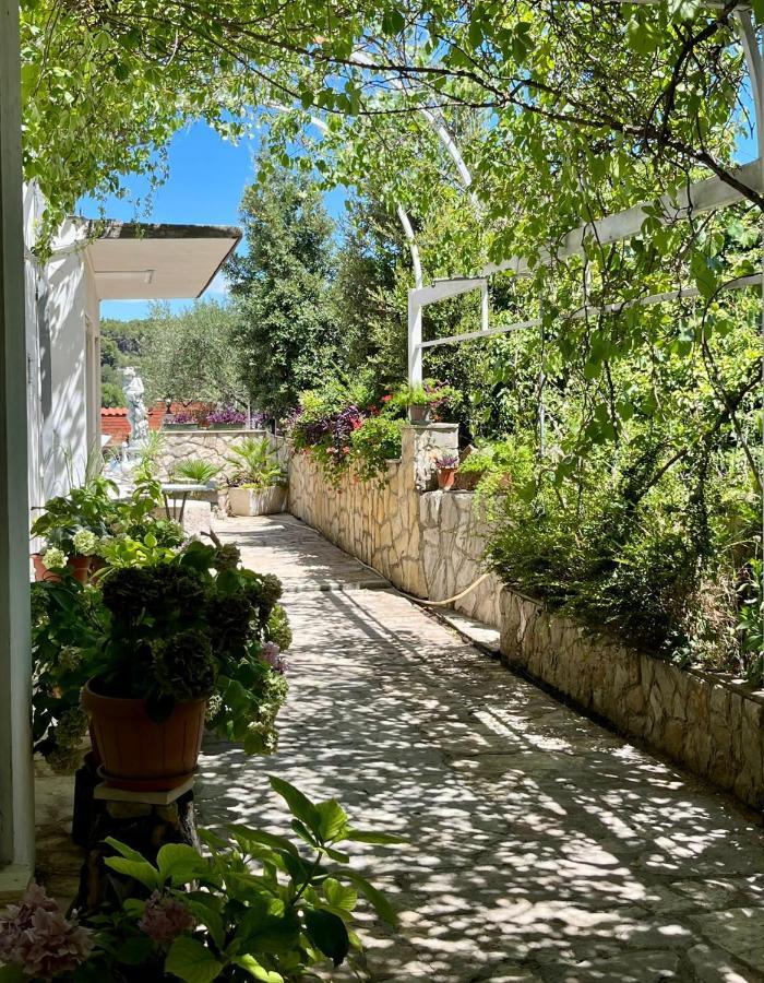With Swimming Pool Apartment Jelsa (Hvar)